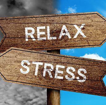 Lower Your Cortisol Levels, Reduce Your Anxiety