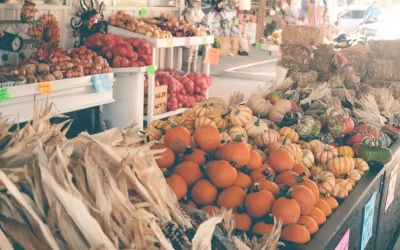 3 Reasons to Get Pumped for Pumpkins!