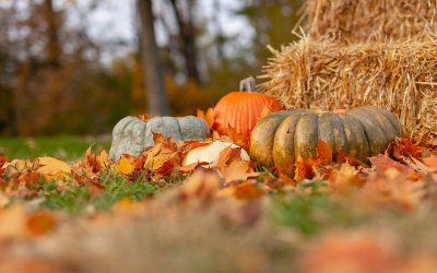 How to Navigate Thanksgiving with Your Child’s Eating Disorder